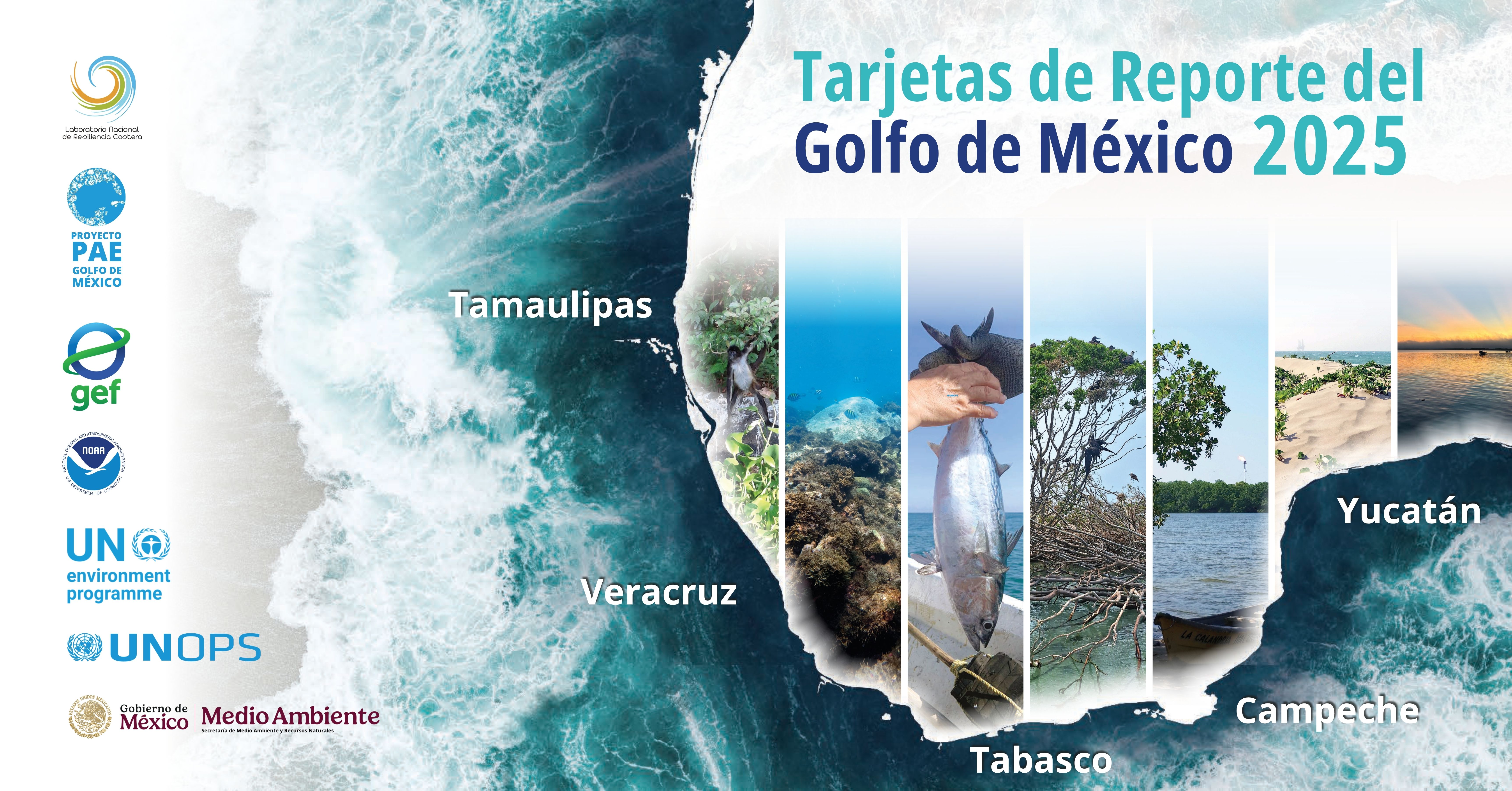 Descripción de la imagen